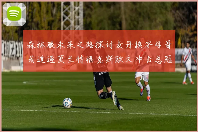 森林狼未来之路探讨麦丹换字母哥或追逐莫兰特福克斯欧文冲击总冠军