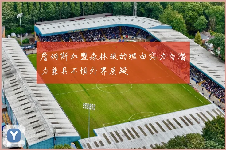 詹姆斯加盟森林狼的理由实力与潜力兼具不惧外界质疑